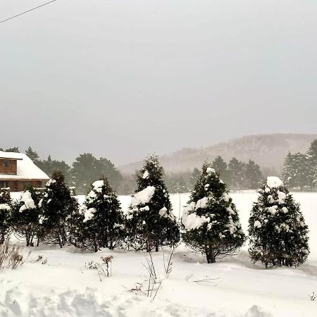 Stunning Log Cabin Getaway At The Hannu Haus Ironwood Εξωτερικό φωτογραφία